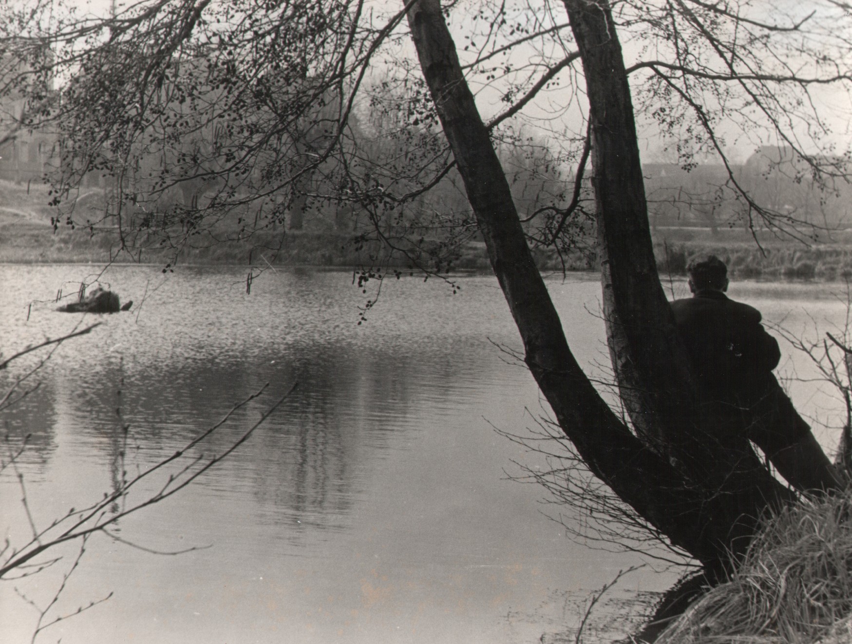 Teich