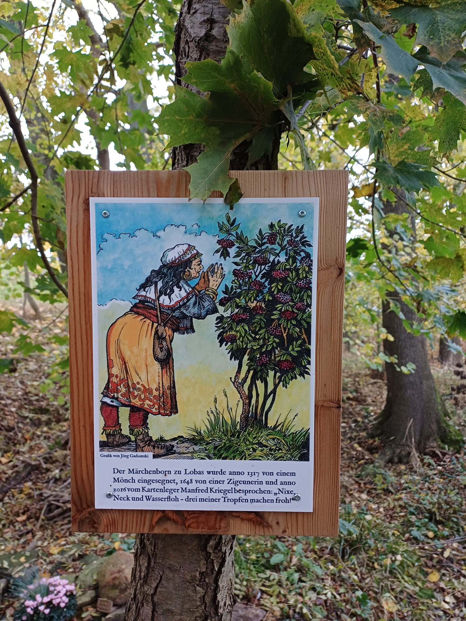 WhatsApp Image 2025-11-03 at 14.16