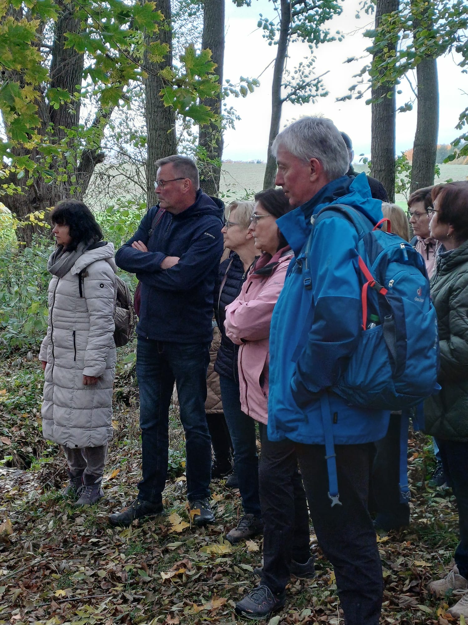 WhatsApp Image 2025-11-03 at 14.16